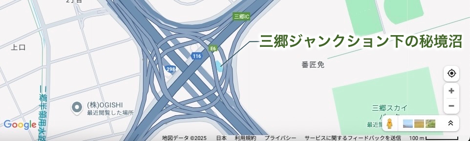 ジャンクションの下に残る「名もなき秘境沼」
