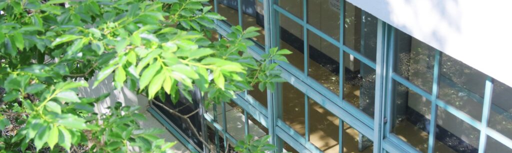 大人になって気づく貫禄と当時の若さ