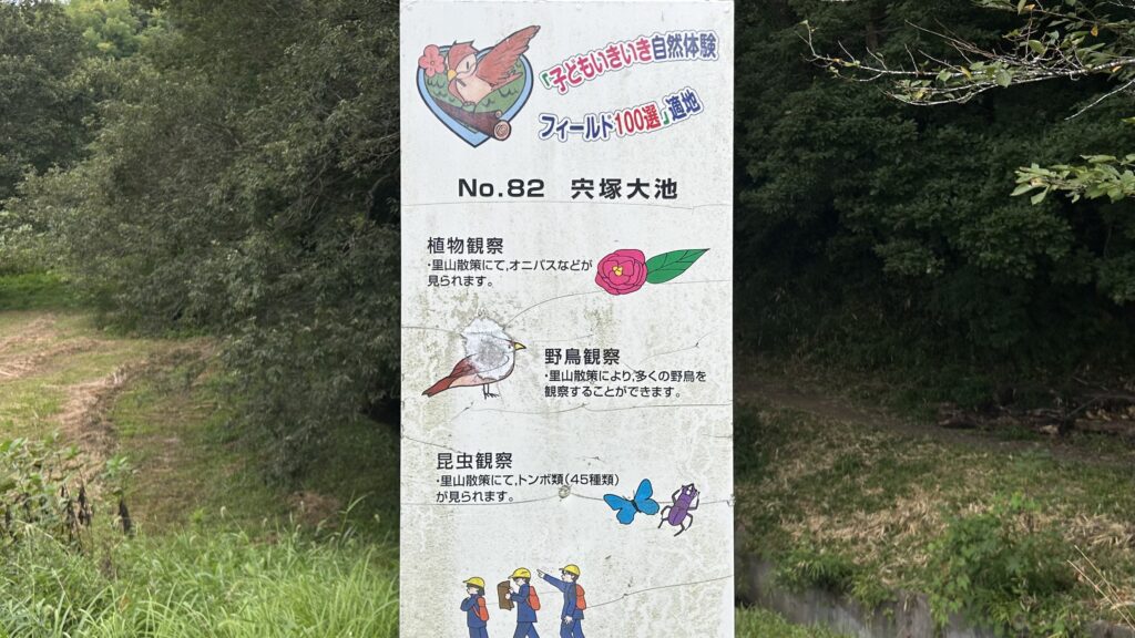 野鳥観察と豊かな生態系