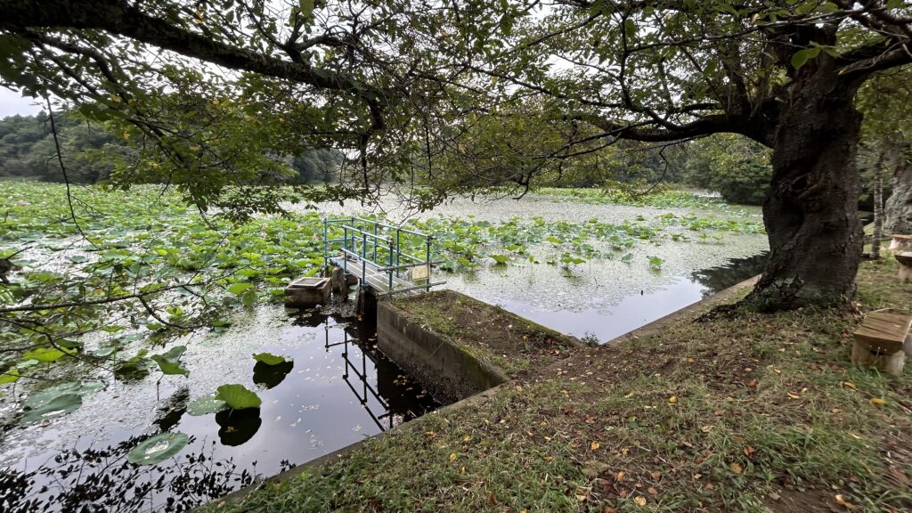 里山に残る農業用ため池