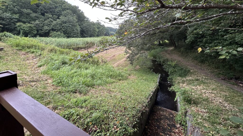 里山に残る農業用ため池