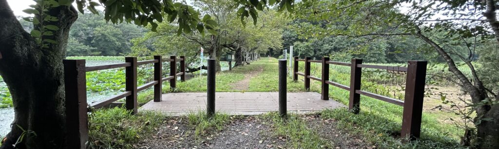 里山に残る農業用ため池