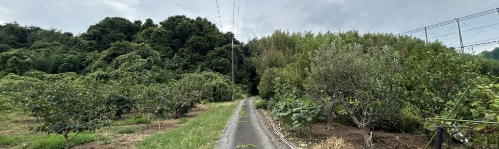 細い山道と砂利道のアクセス