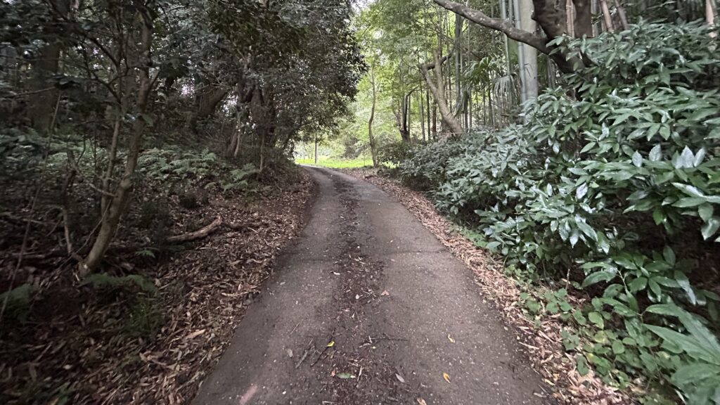 細い山道と砂利道のアクセス
