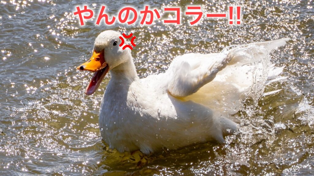 男性がやりがちな地雷対応と炎上の理由