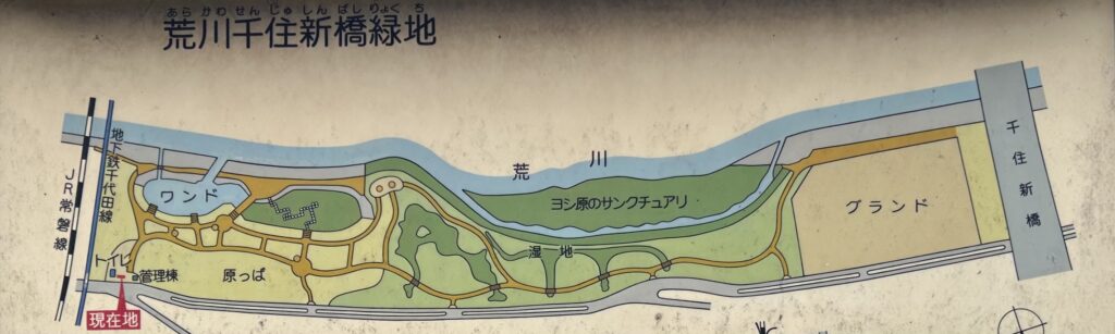 釣り人が集うワンドと都市のオアシス