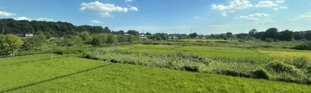 武蔵野線のやばい車窓:東浦和・東川口間に突如広がる謎の田園風景に秘密とは