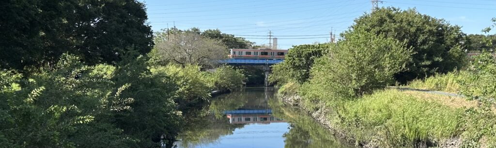 大間木公園と桜橋からの眺め