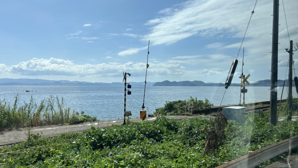 底ものは臭いが回遊魚なら普通に美味しいはず