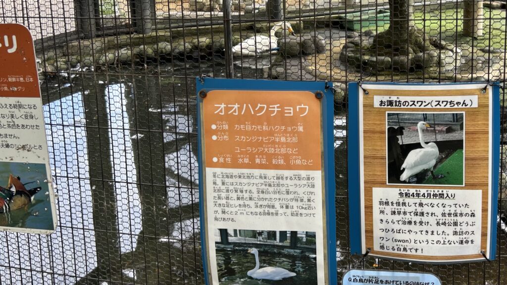 境内に隣接するユニークな動物園