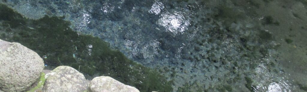 肥沃な土と豊かな水が育む農村の暮らし