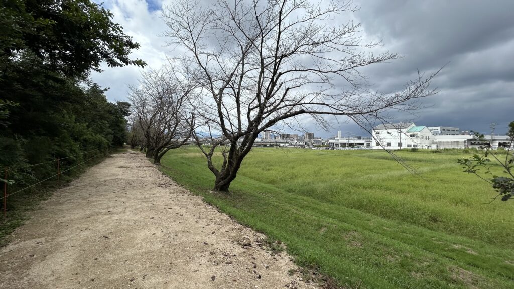 「土の壁」と「山の砦」の3D防衛ネットワーク