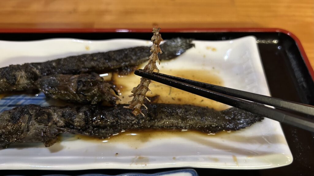 有明海に生きる泥の上のかわいい魚