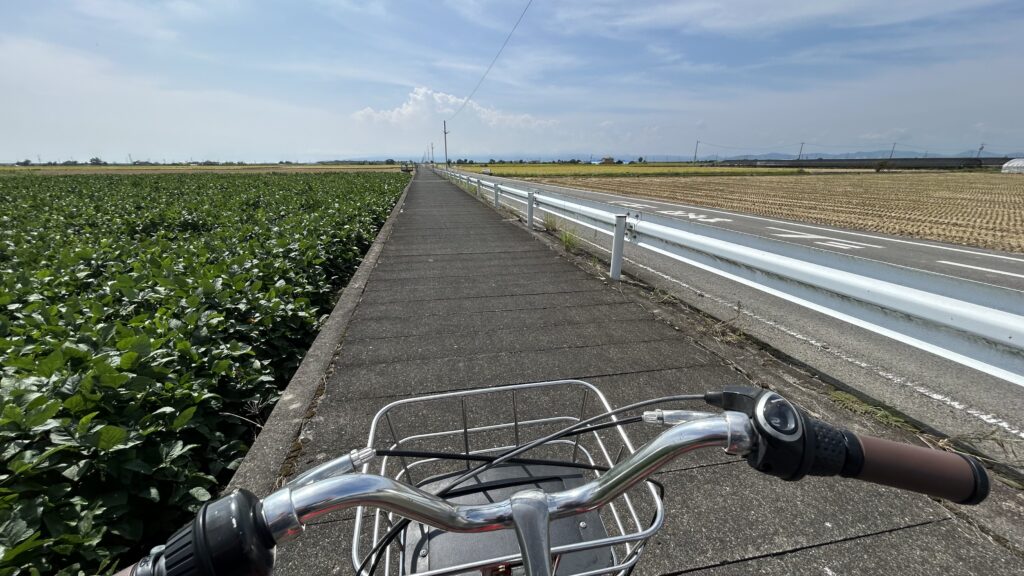 まとめ：あの坂をのぼれば、クリークが見える