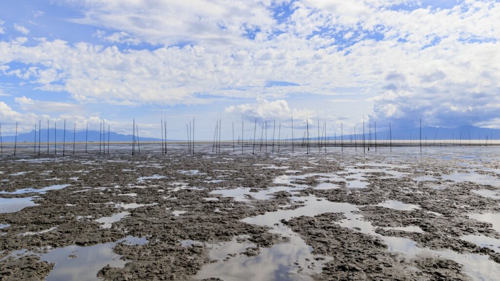 潮が動くのが干潟、水がたまるのが湿地