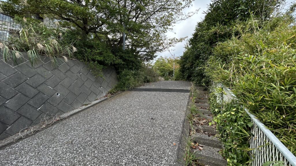 横須賀線と艦船がセットで入る崖の中腹