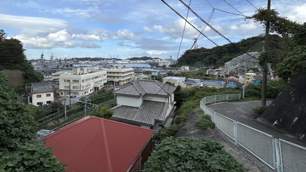 横須賀線と艦船がセットで入る崖の中腹