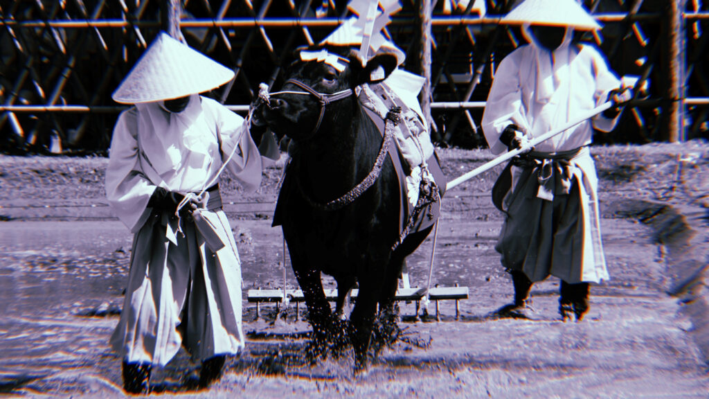 明治の「牛を食べる勇気」から始まった物語