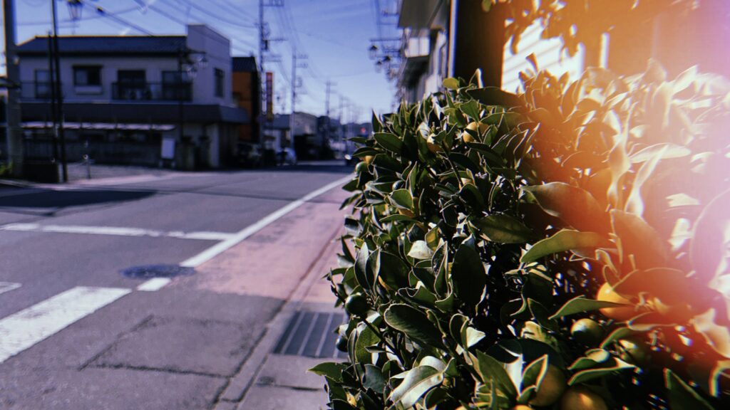 「下妻物語」はなぜ下妻が舞台になったのか