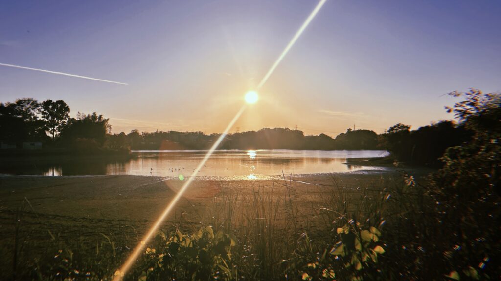 沼の街「下妻」を現在も支える街の顔「砂沼」