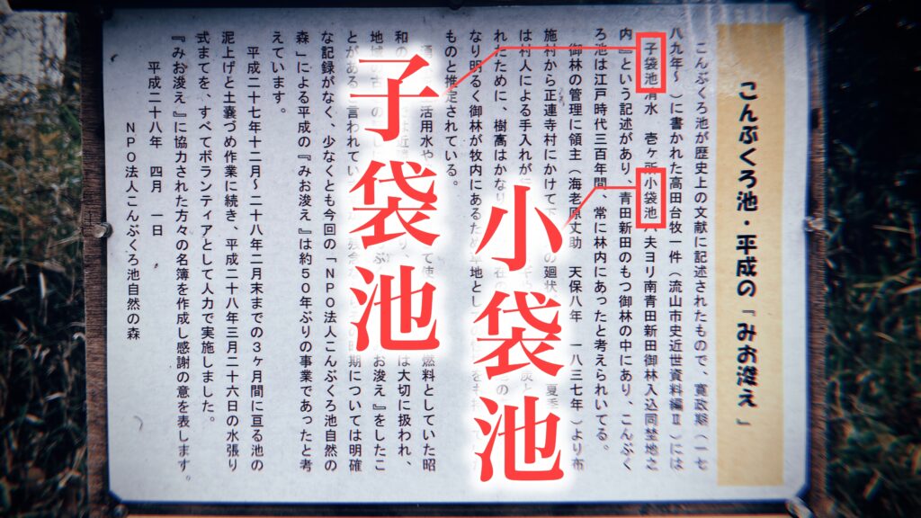 こんぶくろは「巾着」ではなく「小さいアレ？」