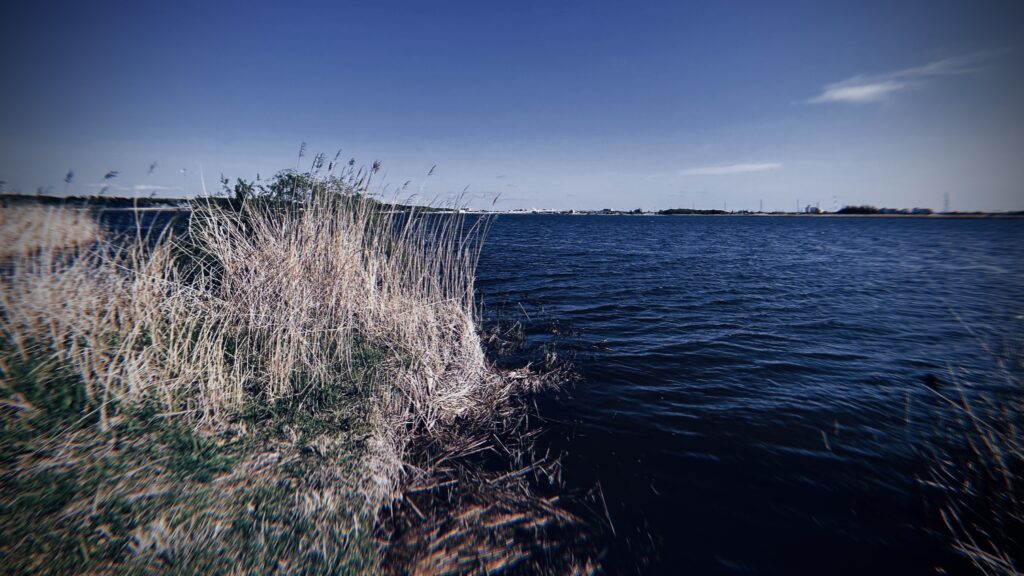 それでも牛久に「カッパ話」が残ったワケ