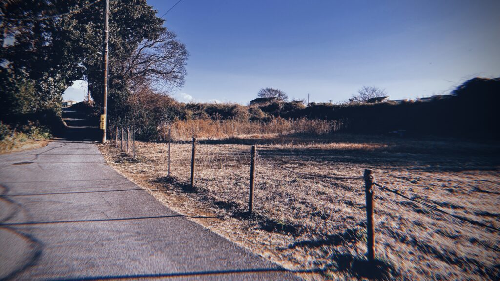 津田「沼」はどこにあったのか？