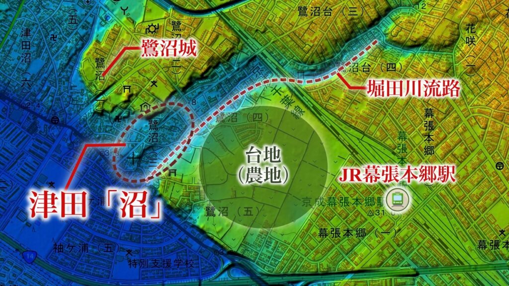 津田「沼」はどこにあったのか？