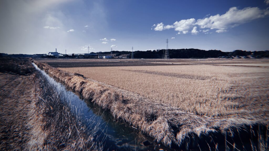 入江だった「干潟」が「涸沼」になった説