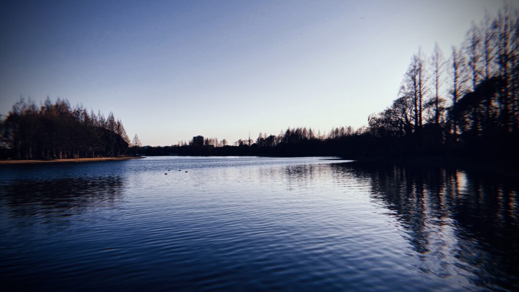 水元公園は本当に危険な場所なのか