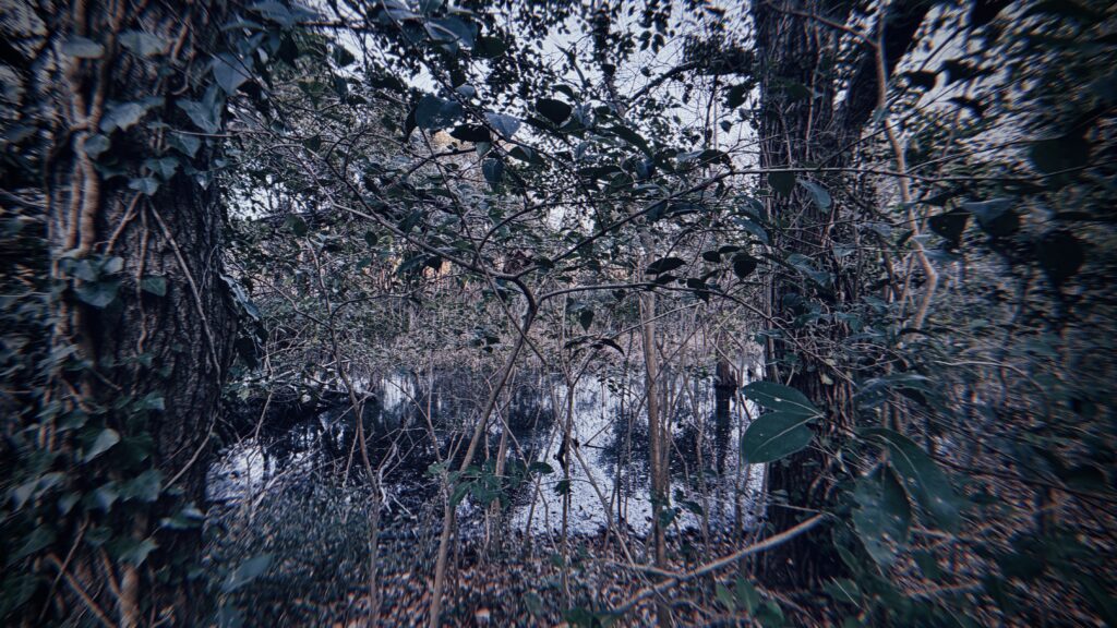 不安が偏りやすい「水元公園の動線」