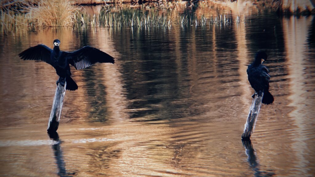 「どん詰まり構造」が生んだ危険性