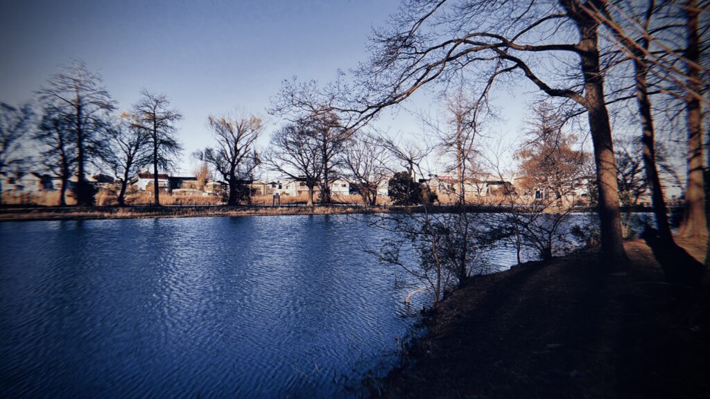 「どん詰まり構造」が生んだ危険性