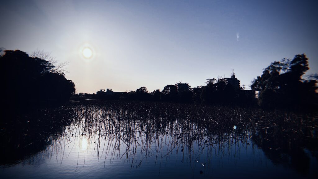 「どん詰まり構造」が生んだ危険性