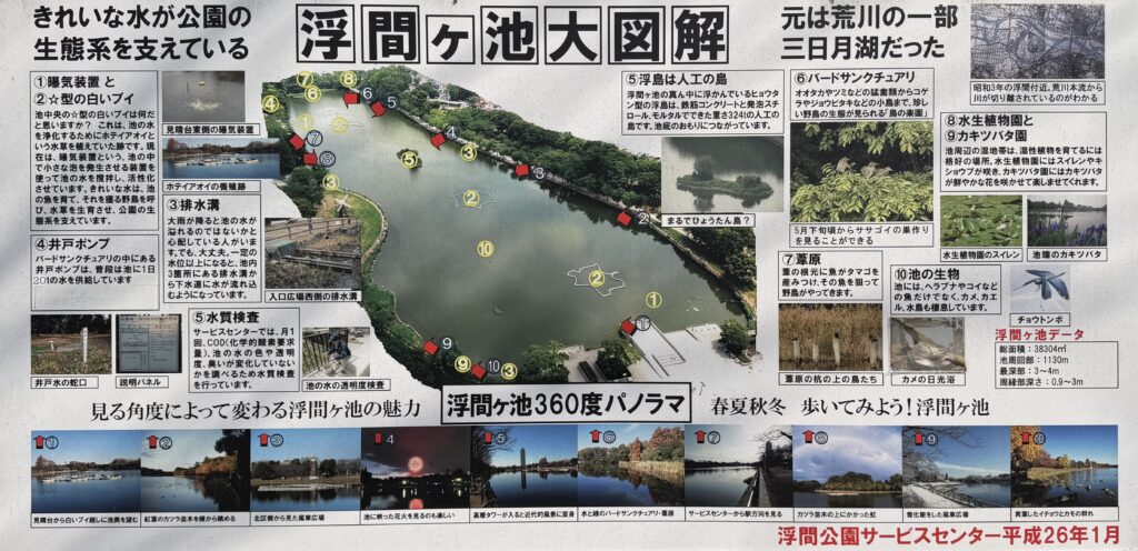 浮間舟渡の浮間公園に浮かぶ謎の浮島