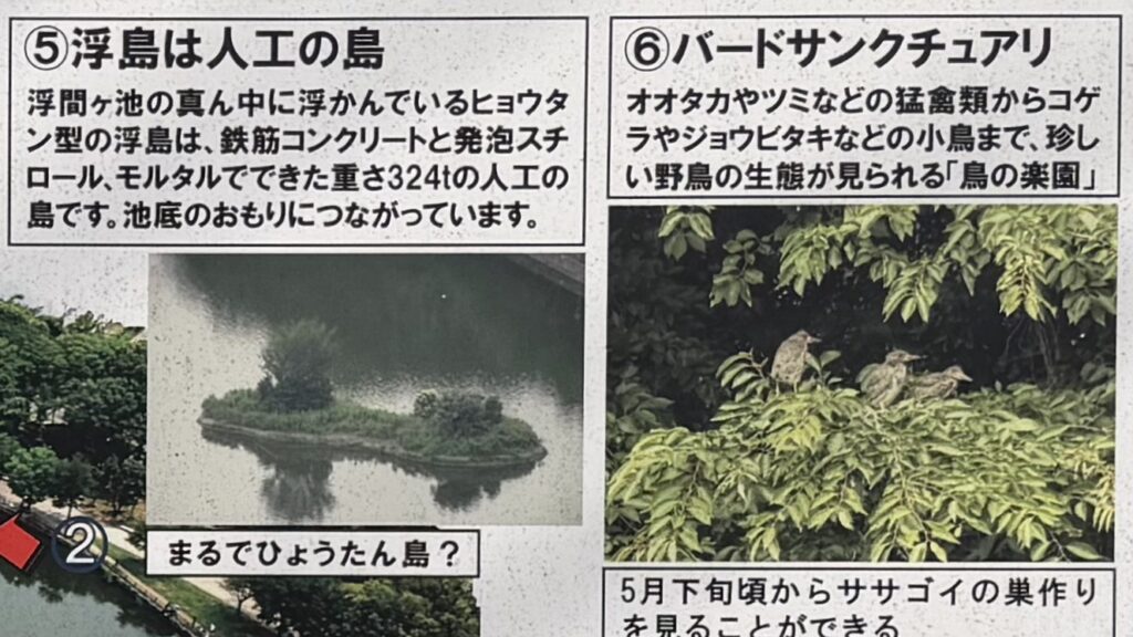 浮間舟渡の浮間公園に浮かぶ謎の浮島