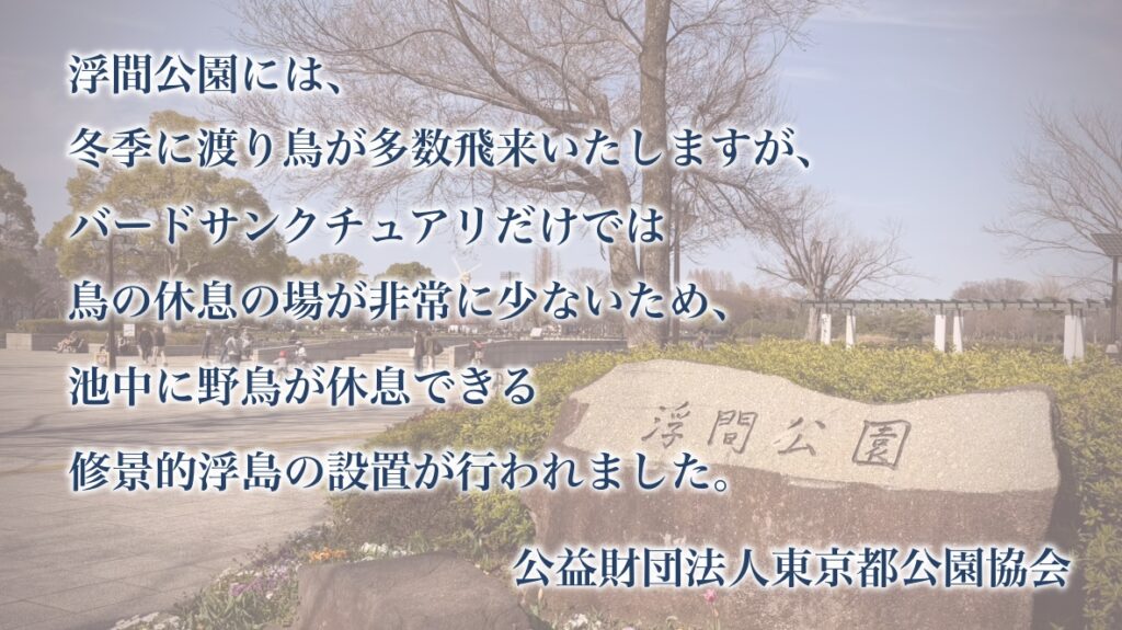 浮間公園に浮島が造られた目的とは？