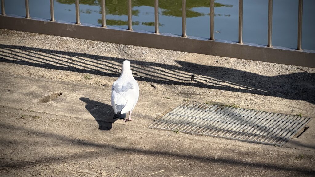 浮間公園はどんな場所なのか