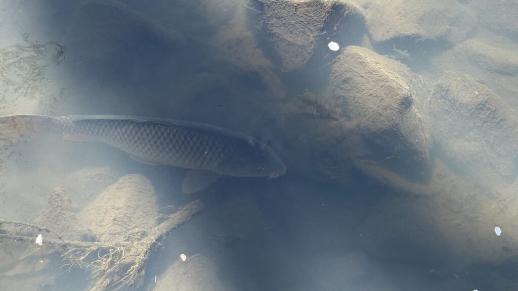 一番つらかったのは危険ではなく迷いだった