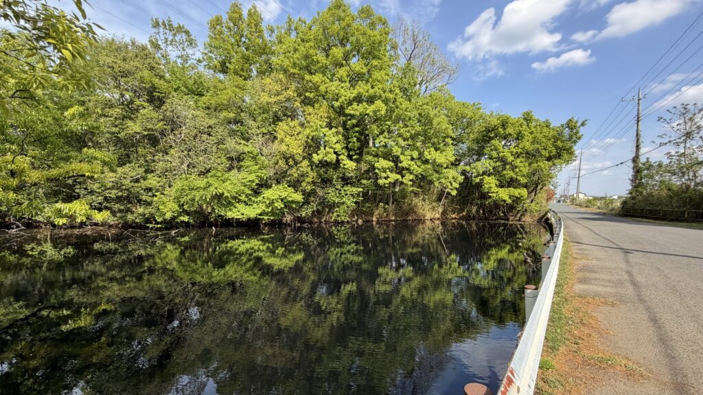 変なことで楽しんでいる人がいると伝えたい