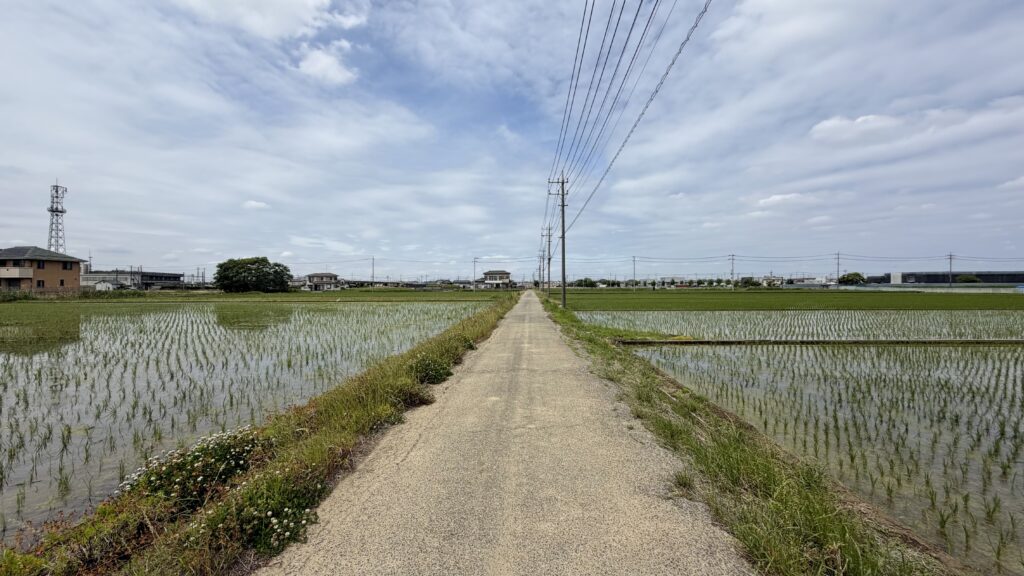 南栗橋は長い間「農村」だった