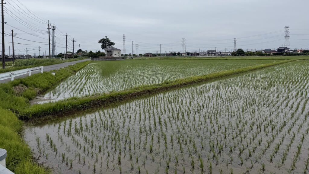 南栗橋は長い間「農村」だった