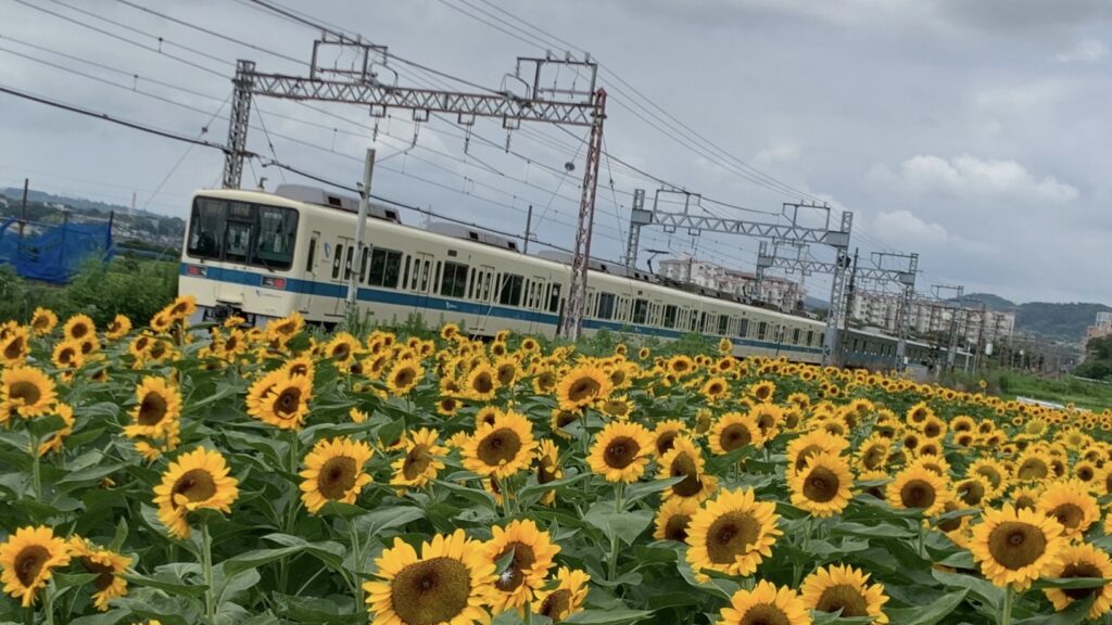 小田急線の下り通学が選ばれにくい理由