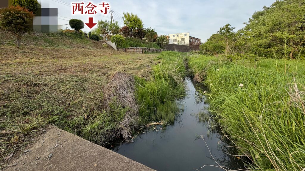 白妙姫はなぜ沼に身を投げたのか