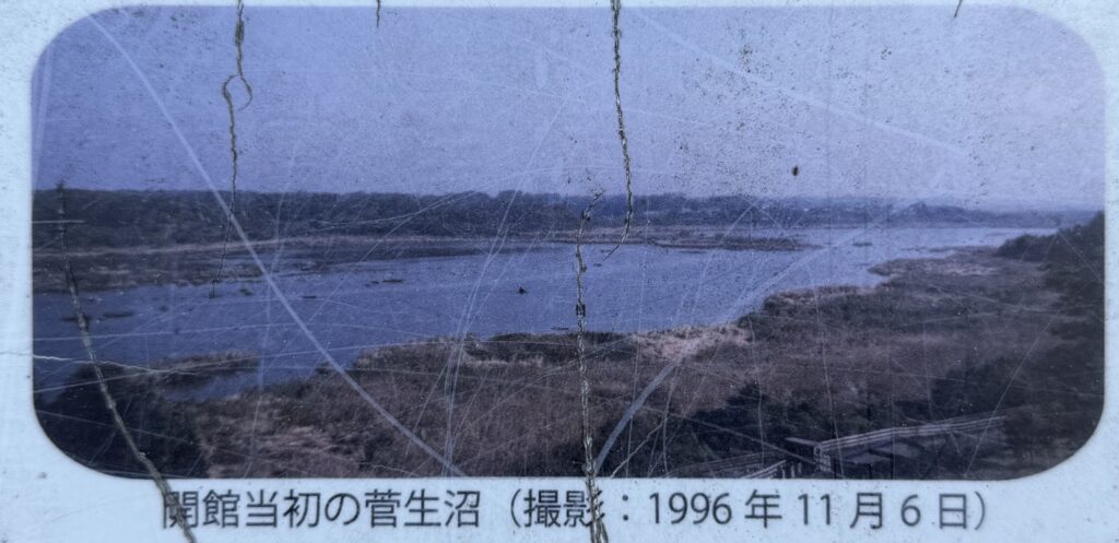 白妙姫はなぜ沼に身を投げたのか