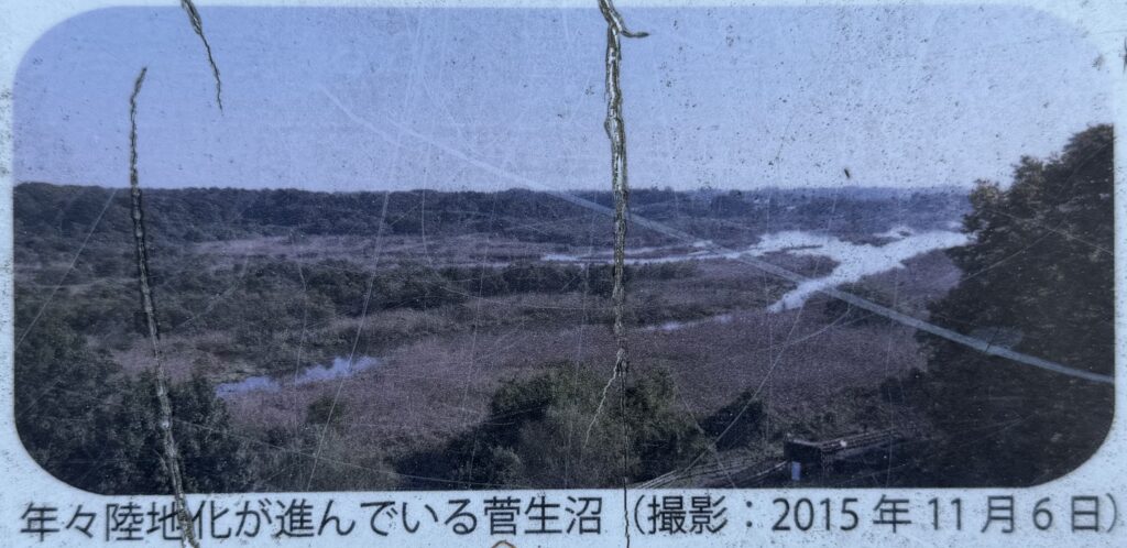 白妙姫はなぜ沼に身を投げたのか