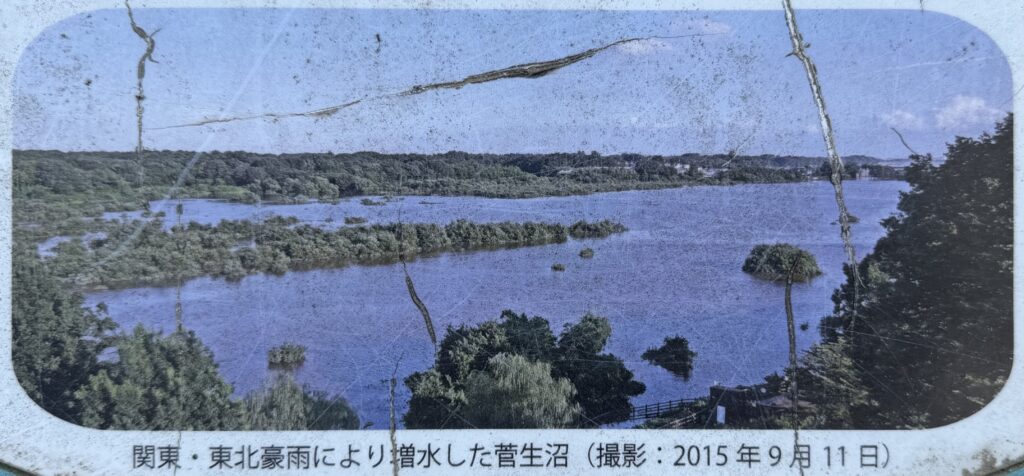 白妙姫はなぜ沼に身を投げたのか