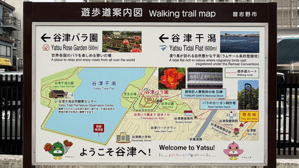 谷津干潟は意外と静かで歩きやすい