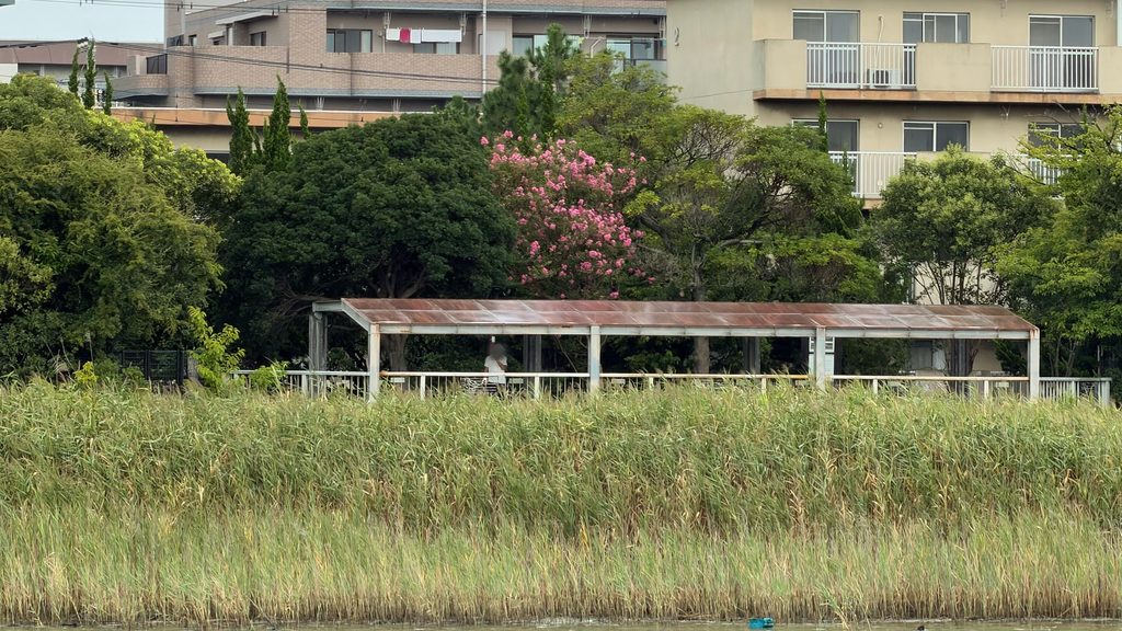 雨宿りできる場所が多いのが嬉しい