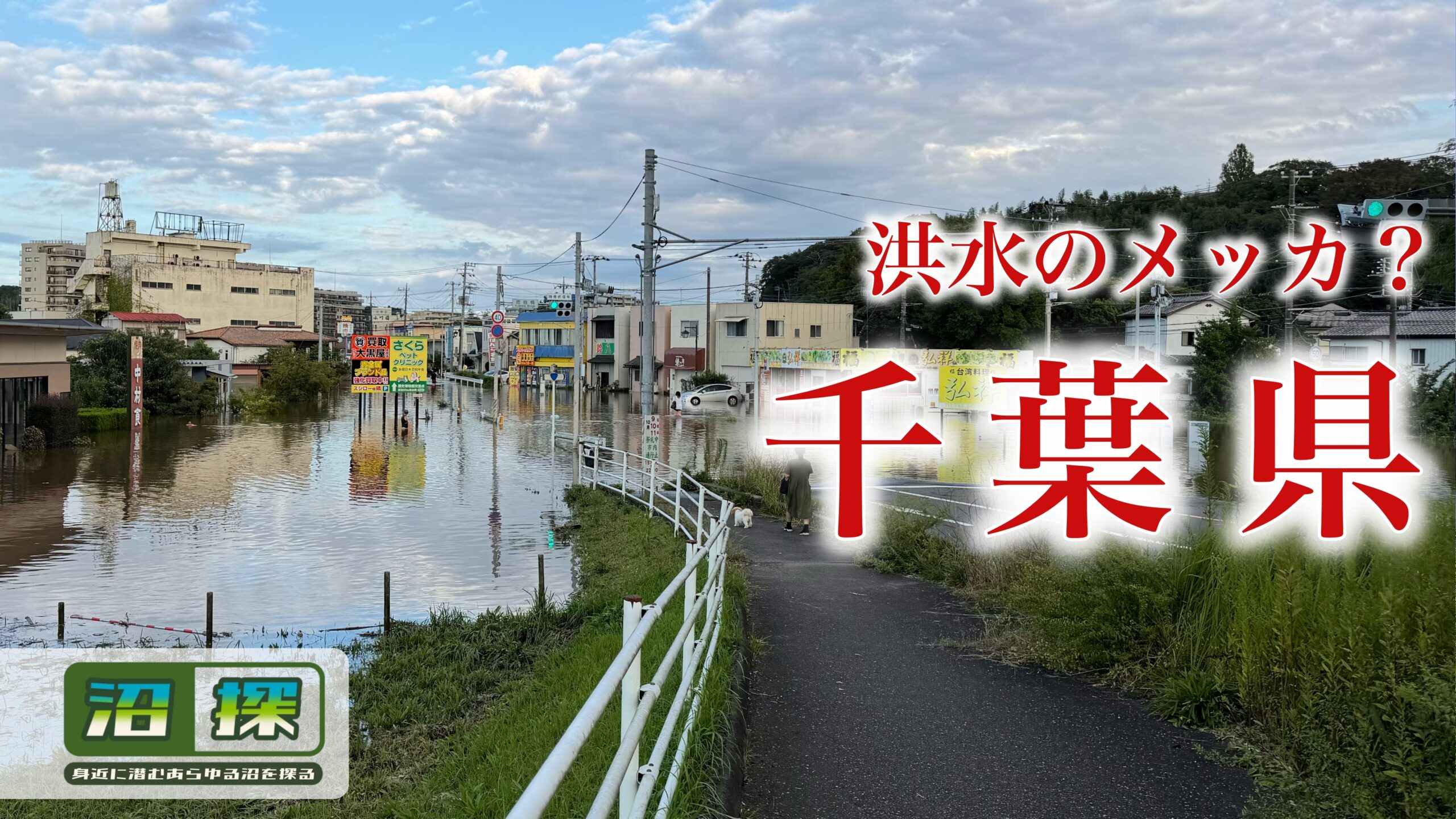 千葉県はなぜ洪水が多いのか：印旛沼の決壊と佐倉の冠水から「水の流れ」を考えた